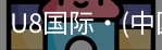 U8国际